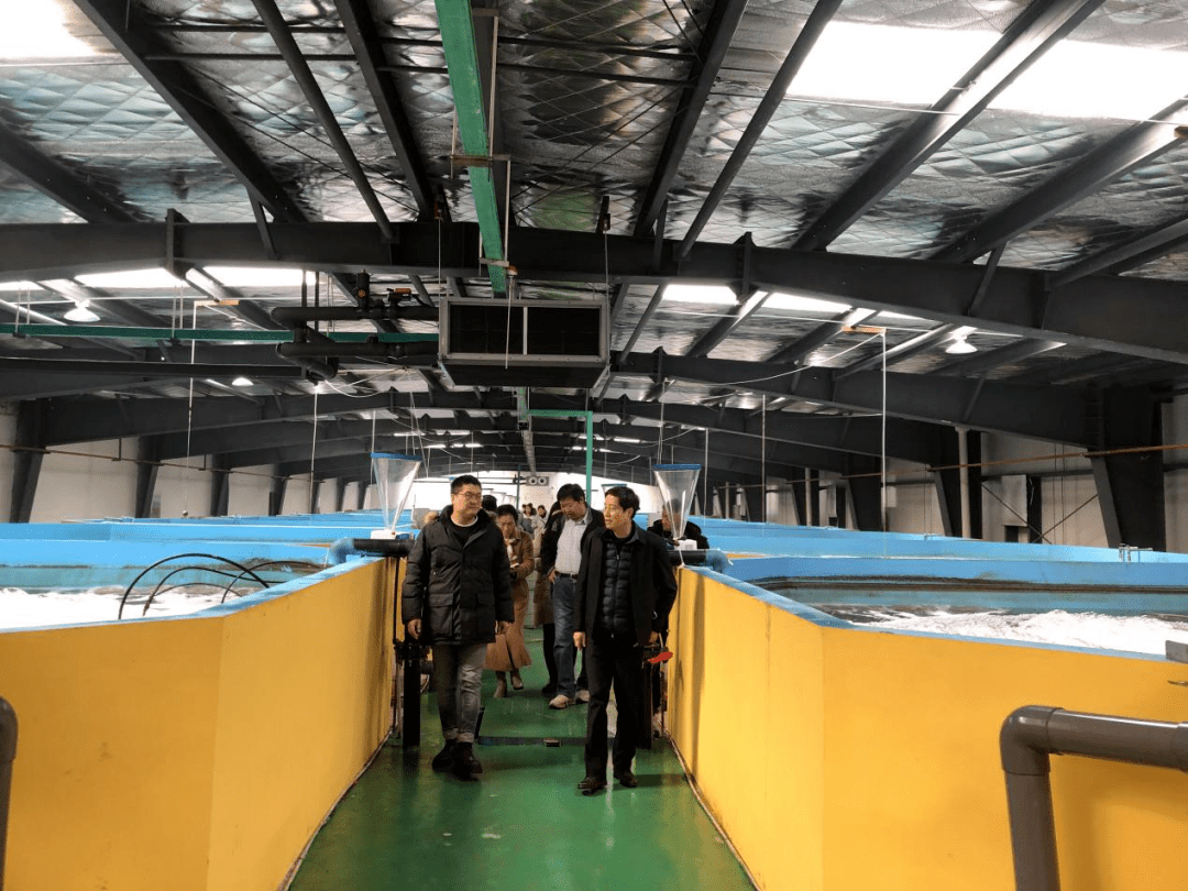 聚焦武漢優質蝦苗供應，推動內陸工廠化養殖產業升級與漁業技術革新